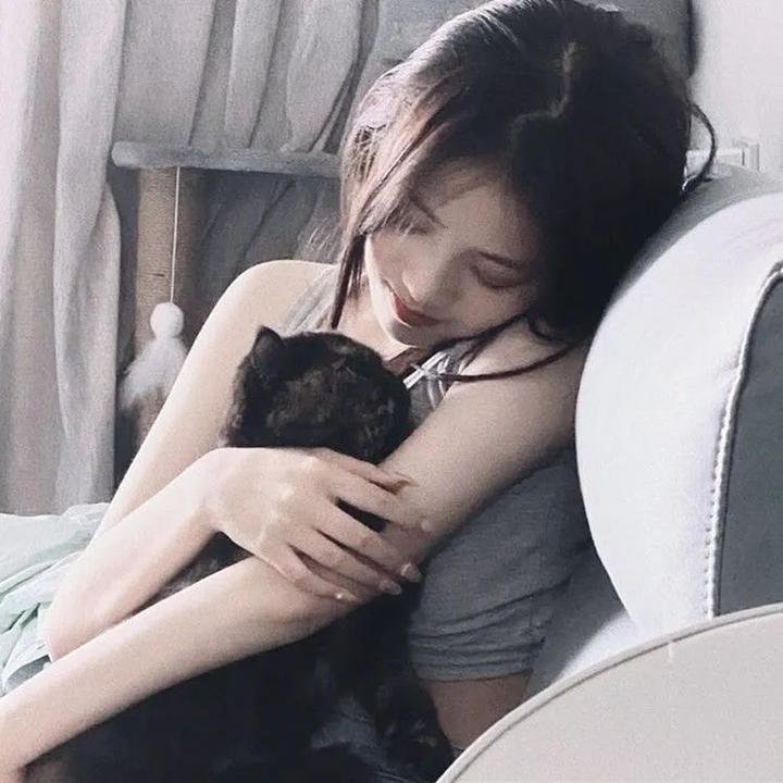 消失的西德尼·豪尔